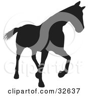 Trotting Black Silhouetted Horse