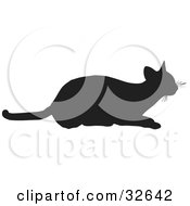 Poster, Art Print Of Frisky Cat Silhouetted In Black Ready To Pounce