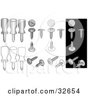 Clipart Illustration Of Phillips Screws And Screwdrivers On White And Black Backgrounds
