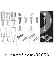 Clipart Illustration of Phillips Screwdrivers And Screws On White And Black Backgrounds by J Whitt #COLLC32656-0082