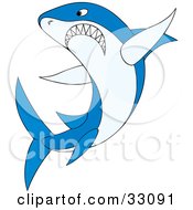 Poster, Art Print Of Angry Blue Shark Gritting His Teeth And Preparing To Attack