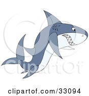 Poster, Art Print Of Angry Gray Shark Swimming With Its Teeth Bared