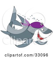 Poster, Art Print Of Gray And White Pirate Shark Swimming With Bubbles