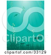 Poster, Art Print Of Fish Swimming Above Grasses With Bubbles Underwater With Rays Of Sunshine Beaming Down From The Surface