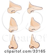 Clipart Illustration Of A Set Of Six Different Human Noses