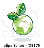 Poster, Art Print Of Organic Leaves Sprouting From A Green Globe