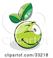 Winking Green Organic Smiley Ball With Leaves