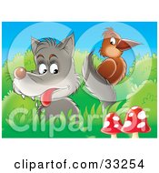 Poster, Art Print Of Wolf Looking At A Brown Bird On Its Tail Perched In Bushes Near Mushrooms