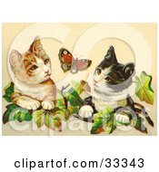 Two Curious Victorian Cats In Ivy Leaves Watching A Butterfly
