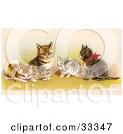 Poster, Art Print Of Four Adorable Victorian Kittens In A Group One Wearing A Red Bow