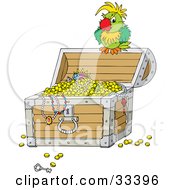 Grouchy Green Parrot Perched Atop An Open Treasure Chest