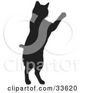 Black Silhouetted Feline Jumping Up by KJ Pargeter