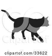 Black Silhouetted Feline Walking by KJ Pargeter
