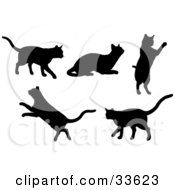 Poster, Art Print Of Set Of Silhouetted Kitty Cats Walking Resting Jumping And Leaping