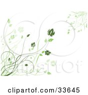 Poster, Art Print Of Green Grasses And Leaves Growing In The Corners Of A White Background