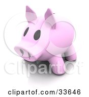 Poster, Art Print Of 3d Pink Piggy Bank With A Big Snout And Black Eyes