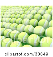 Rows Of Newly Made Yellow Tennis Balls