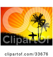 Poster, Art Print Of Lone Silhouetted Surfer Carrying His Board Up A Hill By Palm Trees At Sunset
