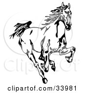Poster, Art Print Of Black And White Wild Mustang Running Forward Towards The Viewer