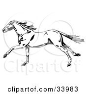 Poster, Art Print Of Black And White Wild Horse In Profile Running To The Left Its Tail And Mane Waving In The Wind