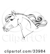 Poster, Art Print Of Black And White Horse Head In Profile With A Curly Mane