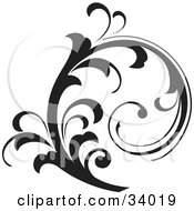 Clipart Illustration Of A Tightly Curled Black Scroll Vine by OnFocusMedia