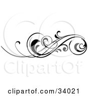 Poster, Art Print Of Elegant Black Scroll With Curling Tips
