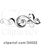 Clipart Illustration Of A Curling Scrolled Vine In Black And White