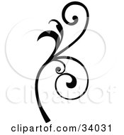 Clipart Illustration Of A Black Scroll With Curly Vines by OnFocusMedia #COLLC34031-0049
