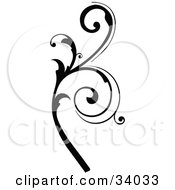 Clipart Illustration Of A Black Vine Scroll With Curly Leaves by OnFocusMedia