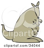 Clipart Illustration Of A Cute Joey Kangaroo Peeking Out Of Its Mothers Pouch As They Explore