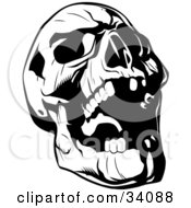 Evil Skull Tilting Its Head Back And Laughing