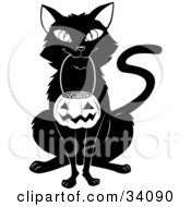 Black Cat Sitting And Carrying A Pumpkin Basket Full Of Candy Corn In Its Mouth On Halloween