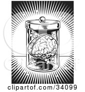 Clipart Illustration Of A Burst Of Bright Light Around A Human Brain Floating In A Jar In A Science Lab by Lawrence Christmas Illustration