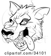 Clipart Illustration Of A Panting Werewolf Head With Fangs Hanging Its Tongue Out
