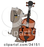 Poster, Art Print Of Musical Brown Dog Playing A Bass Fiddle