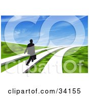 Black Silhouetted Businessman Walking One Of Three Paths Through A 3d Grassy Landscape Under A Blue Sky