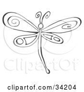 Poster, Art Print Of Black And White Dragonfly With Pretty Designs On Its Wings