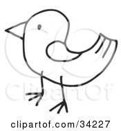 Clipart Illustration Of A Stick Bird In Profile by C Charley-Franzwa #COLLC34227-0078