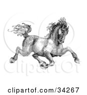 Black And White Pen And Ink Drawing Of A Muscular Victorian Horse Trotting To The Right