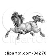 Poster, Art Print Of Black And White Pen And Ink Drawing Of A Muscular Victorian Horse Running To The Left