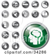 Poster, Art Print Of Green Brain Icon Button With A Set Of Transportation Animal Conscience Fitness And Mouse Icons
