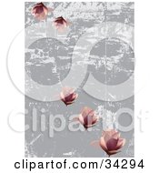 Poster, Art Print Of Pretty Pink Lotus Flowers On A Scratched Gray And White Grunge Background