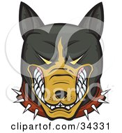 Clipart Illustration Of A Mean And Aggressive Brown And Black Pitbull Wearing A Spiked Collar And Bearing His Teeth by Paulo Resende #COLLC34331-0047