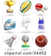 Trophy Cup Rugby Ball Ping Pong Paddle And Ball Helmet Fish Uniform Shuttlecock Golfball On Tee And A Cricket Ball