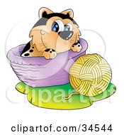 Poster, Art Print Of Playful Spotted Orange Cat In A Basket Playing With A Ball Of Yarn