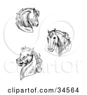 Poster, Art Print Of Set Of Three Black And White Horse Heads