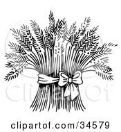 Clipart Illustration Of A Bow And Ribbon Tied Around A Cluster Of Wheat by C Charley-Franzwa #COLLC34579-0078