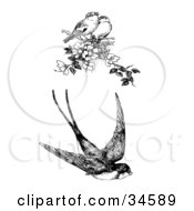 Clipart Illustration Of A Flying Swallow And Two Singing Finches On A Blossoming Tree Branch by C Charley-Franzwa #COLLC34589-0078
