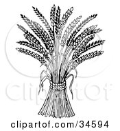 Clipart Illustration Of Wheat Bound By Rope by C Charley-Franzwa #COLLC34594-0078